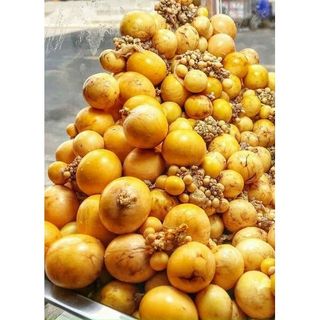 Trứng gà non hộp 500gr (tphcm)