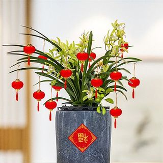 LỐC 30 LỒNG ĐÈN SIZE 3