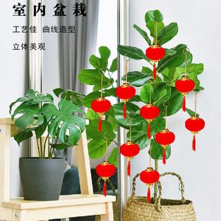 LỐC 30 LỒNG ĐÈN SIZE 3