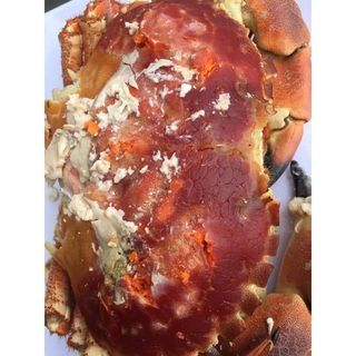 Cua Nâu Nauy bao gạch bao ăn 1 con 900gr đến 1,1kg siêu to ( giao tphcm)