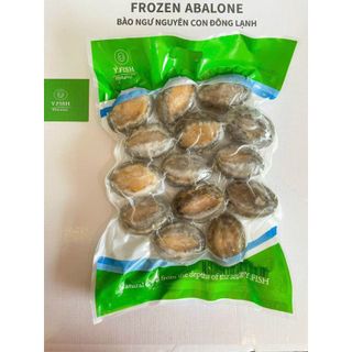 1kg Bào Ngư Y.FISH nhập khẩu net 7 size 18- 20 con (giao tphcm)