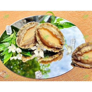 1kg Bào Ngư nhập khẩu Y fish net 7 size 20-22 con (giao tphcm)