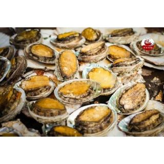 Bào ngư Hàn Quốc tươi ngon 500g/vỉ (size 16-20 con/kg) (giao hỏa tốc TPHCM)