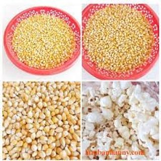 Bắp mỹ khô. Dùng làm bắp Rang Bơ 500gr