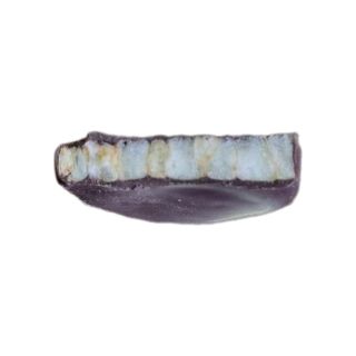 Bánh gạo phủ Chocolate, thơm ngon giòn rụm.