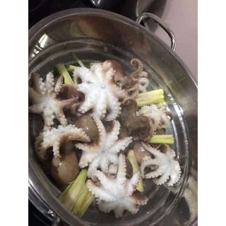 Bạch tuộc sữa baby 500g (giao tphcm)