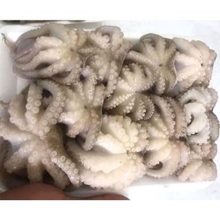 Bạch tuộc sữa baby 500g (giao tphcm)