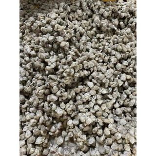 Ruột hến siêu ngon vĩ 500gr (giao tphcm)