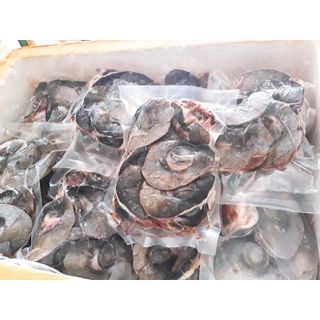 Mắt cá ngừ đại dương-Đèn pha đại dương 1kg (giao tphcm)