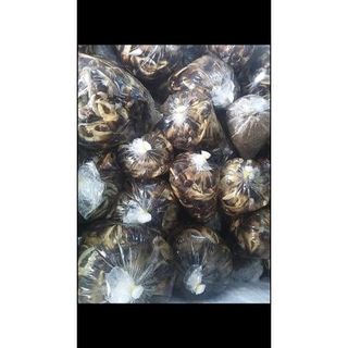 Cua đồng sống say rêu cua 1kg (giao tphcm)