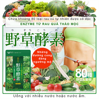VIÊN UỐNG BỔ SUNG ENZYME TỪ RAU QUẢ THẢO MỘC 30 viên