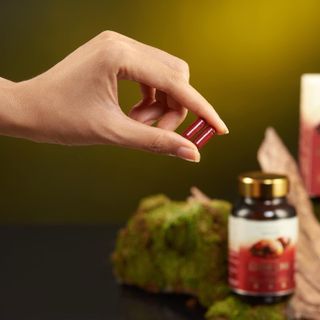 VIÊN UỐNG BÀO TỬ NẤM LINH CHI TĂNG SỨC ĐỀ KHÁNG HỆ MIỄN DỊCH HỦ 60 VIÊN