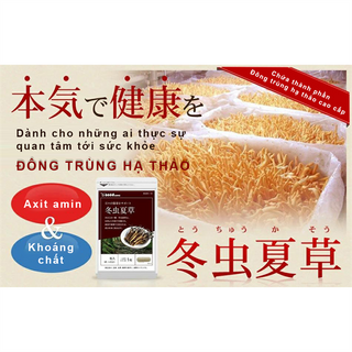 Viên uống Đông trùng hạ thảo Seedcoms hỗ trợ bồi bổ và phục hồi sức khỏe - 30 viên (30 ngày)