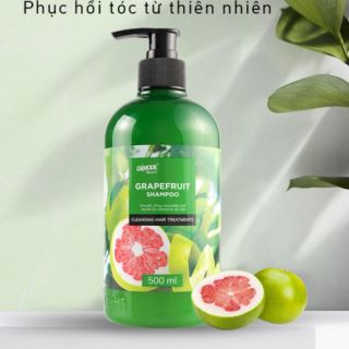 DẦU GỘI GRAPEFRUIT SHAMPOO NGĂN NGỪA RỤNG TÓC DƯỠNG TÓC TINH CHẤT BƯỞI DAMODE CHAI 500ML