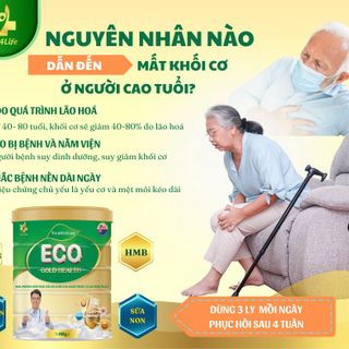 SỮA NON DINH DƯỠNG ECO – GOLD HEATH