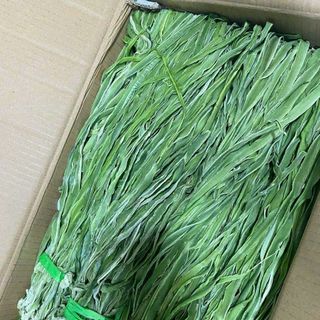 RAU TIẾN VUA - RAU CẦN BIỂN LOẠI 1 GIÒN, NON ĐẶC BIỆT 250G - WINNIE HOUSE