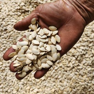 Hạt bí rang củi 10kg giá sỉ giá bán buôn số lượng - hàng xá thương hiệu hren coffee