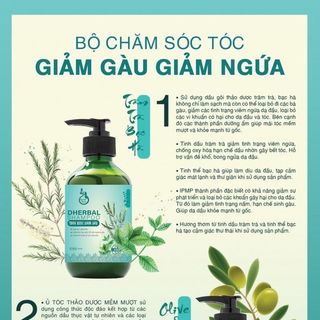 Dầu Gội Giảm Gãy Rụng, Kích Mọc Tóc - DHerbal Shampoo (300ml)