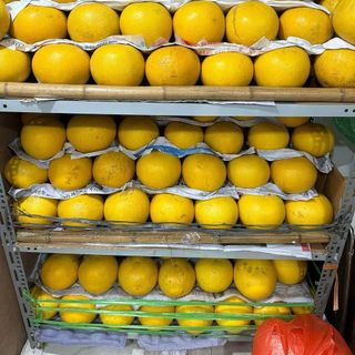 Bưởi diễn loại 1 chính hiệu, cam kết, bảo hành, bao ăn