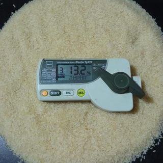 Gạo Swarna Ấn Độ vỡ 5%