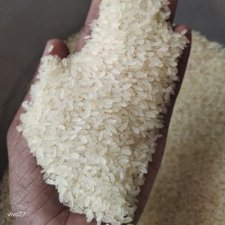 Gạo Swarna Ấn Độ vỡ 5%