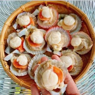 SÒ ĐIỆP TÁCH NỬA MẢNH bịch 1kg (giao tphcm)