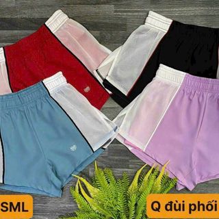 Quần đùi phối lưới f121 4 màu size sml mới nhất 2023 Thể Thao cao cấp Siêu Đẹp Giá Sỉ,