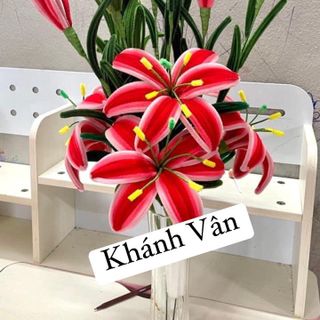 Hoa ly chưng tết