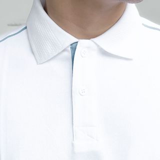 Áo POLO vải 100% COTTON MỸ Siêu dày dặn, thoáng khí, bền màu và đứng form A02-213