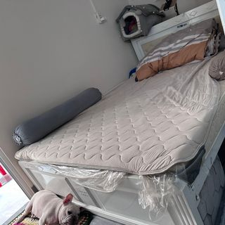 Giường sắt hộp 1m6x2m Trắng Đẹp Mới (Thanh Lý)