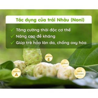 Tinh Chất Trái Nhàu, Nước Uống Detox Thải Độc, Ổn Định Đường Huyết, Ngừa Ung Thư, Giảm Đau Nhức Xương Khớp, Vitrue Detox