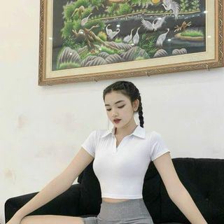 Crop cổ bẻ Tk Đủ màu size mlxl mới nhất 2023 Thể Thao cao cấp Siêu Đẹp Giá Sỉ,