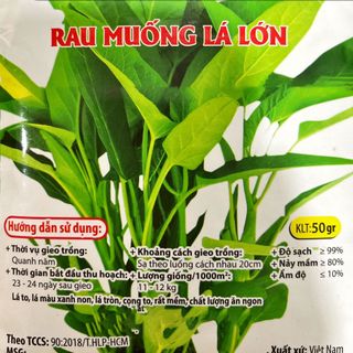 Hạt giống rau Muống lá to (50 GRAM/BAO)