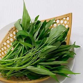 Hạt giống rau Muống lá to (50 GRAM/BAO)