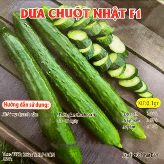 Hạt giống Dưa Chuột Nhật (0.1 GRAM/BAO) giá sỉ