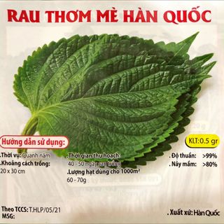 Hạt giống lá Mè Hàn Quốc (lá Vừng, lá Nhíp) (0.5 GRAM/BAO) giá sỉ