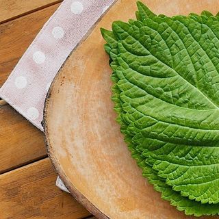Hạt giống lá Mè Hàn Quốc (lá Vừng, lá Nhíp) (0.5 GRAM/BAO)