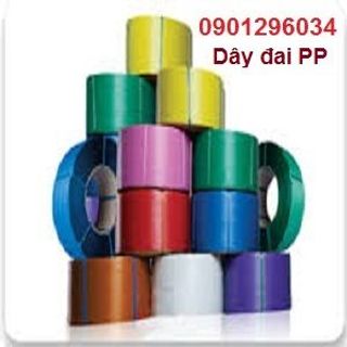 Dây đai PP và dây đai PET đủ màu, đủ size
