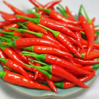 Hạt giống Ớt Chỉ Thiên lai (0.1 GRAM/BAO)