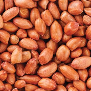 ĐẬU PHỘNG GIÁ SỈ