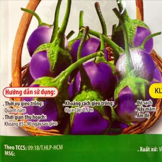 Hạt giống Cà Pháo tím (1 GRAM/BAO)