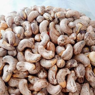 Hạt điều rang Bình Phước hàng ngon loại 1