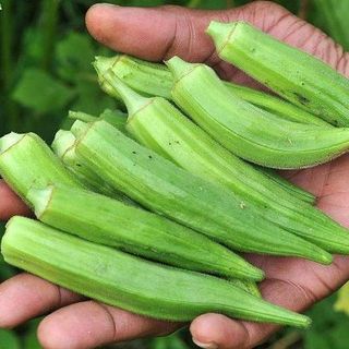 Hạt giống Đậu Bắp cao sản (20GRAM/BAO)