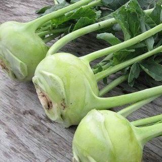 Hạt giống Su Hào xanh (1 GRAM/BAO)