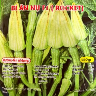 Hạt giống Bí Ăn Nụ (2 GRAM/BAO)