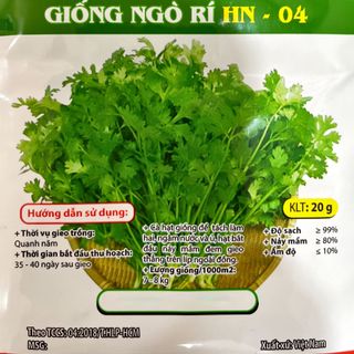 Hạt giống rau Ngò Rí (Mùi ta), 20 GRAM/BAO giá sỉ