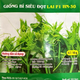 Hạt giống Bí Siêu Đọt lai (Bí Siêu Ngọn) 10 GRAM/BAO