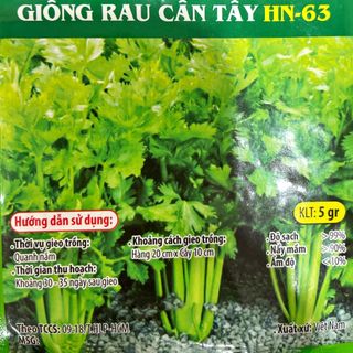 Hạt giống rau Cần Tây (5 GRAM/BAO)