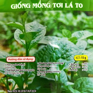 Hạt giống rau Mồng Tơi Lá To (15 GRAM/BAO)