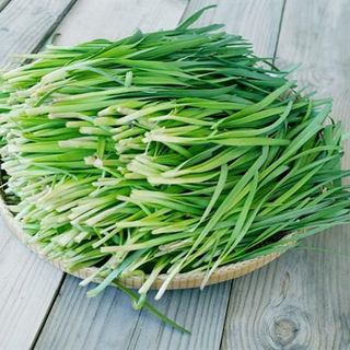 Hạt giống Hẹ (1 GRAM/BAO)